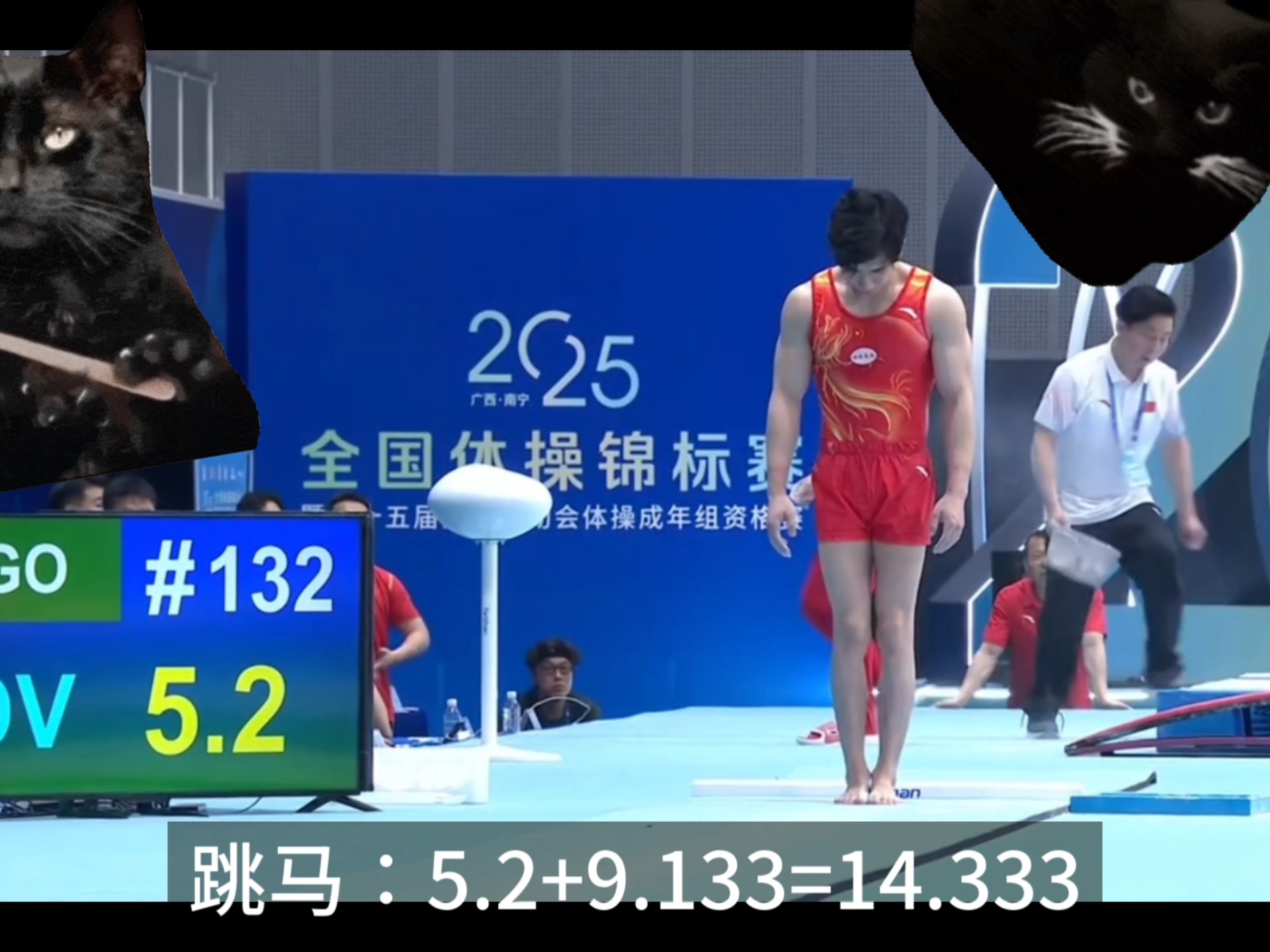 跳马选手表现稳定，备战全力冲刺